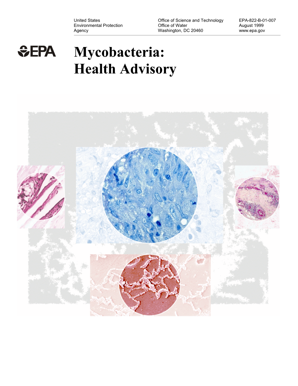 Mycobacteria Drinking Water Health Advisory (PDF)