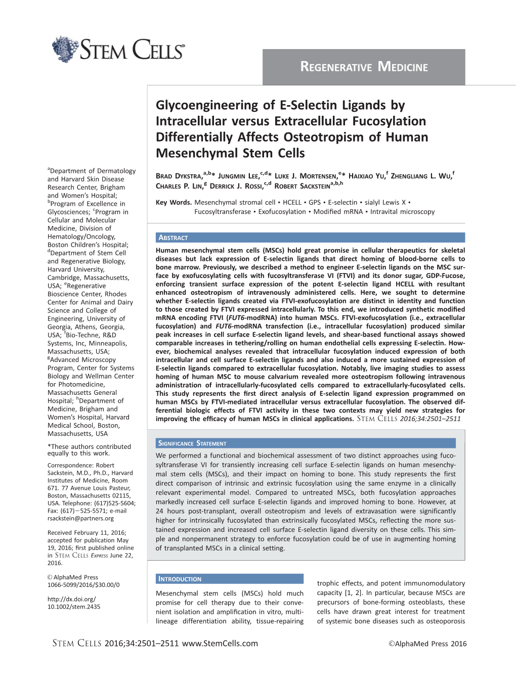 Glycoengineering of E-Selectin Ligands by Intracellular Versus