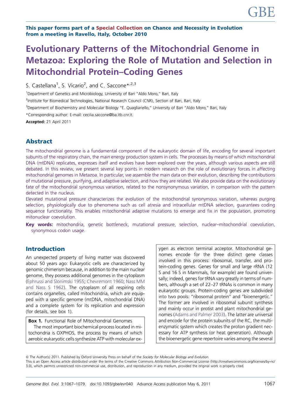Evolutionary Patterns of the Mitochondrial Genome in Metazoa: Exploring the Role of Mutation and Selection in Mitochondrial Protein–Coding Genes