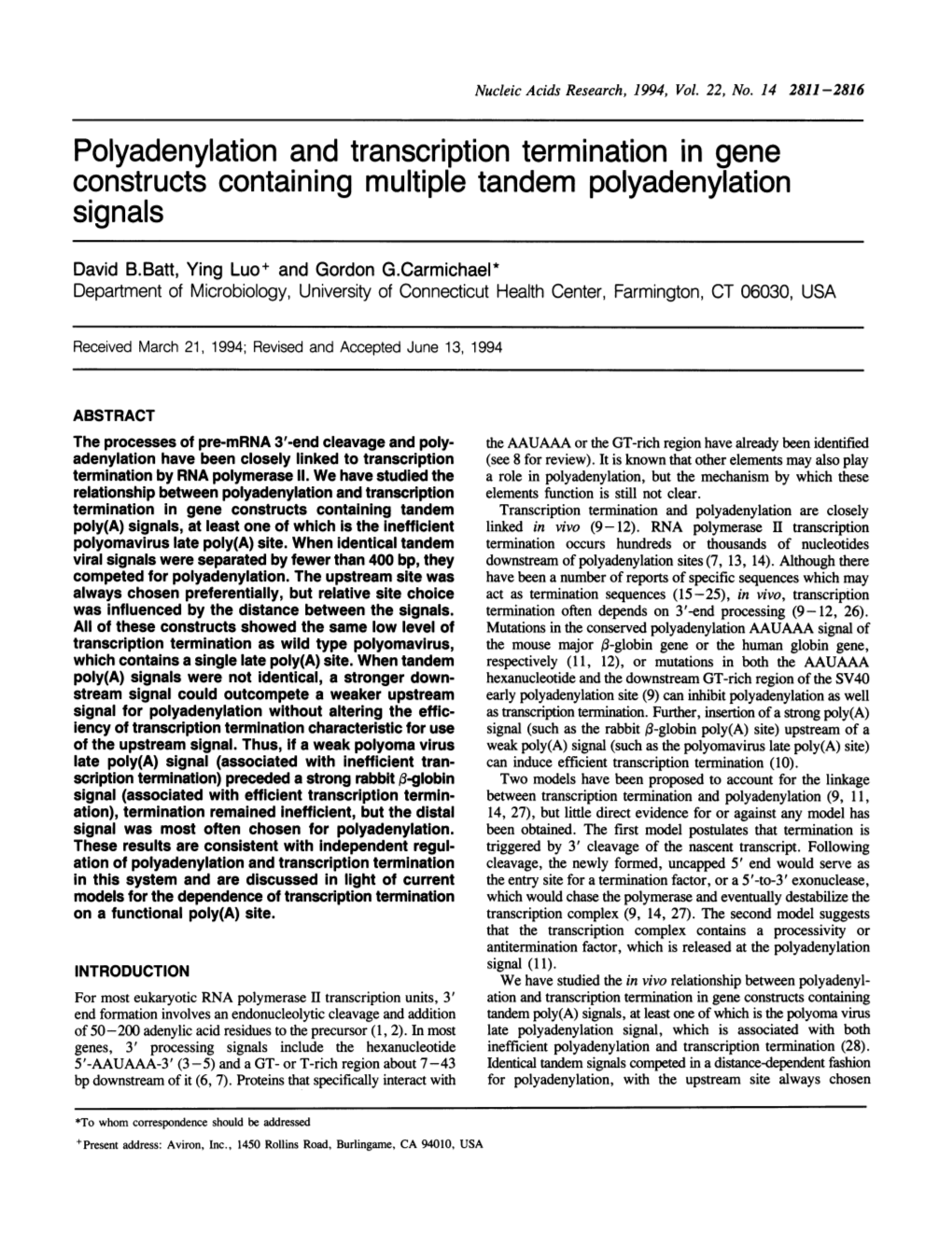 Polyadenylation and Transcription Termination in Gene Constructs Containing Multiple Tandem Polyadenylation Signals