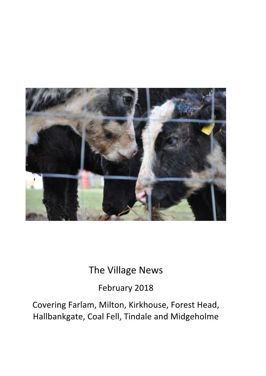 The Village News