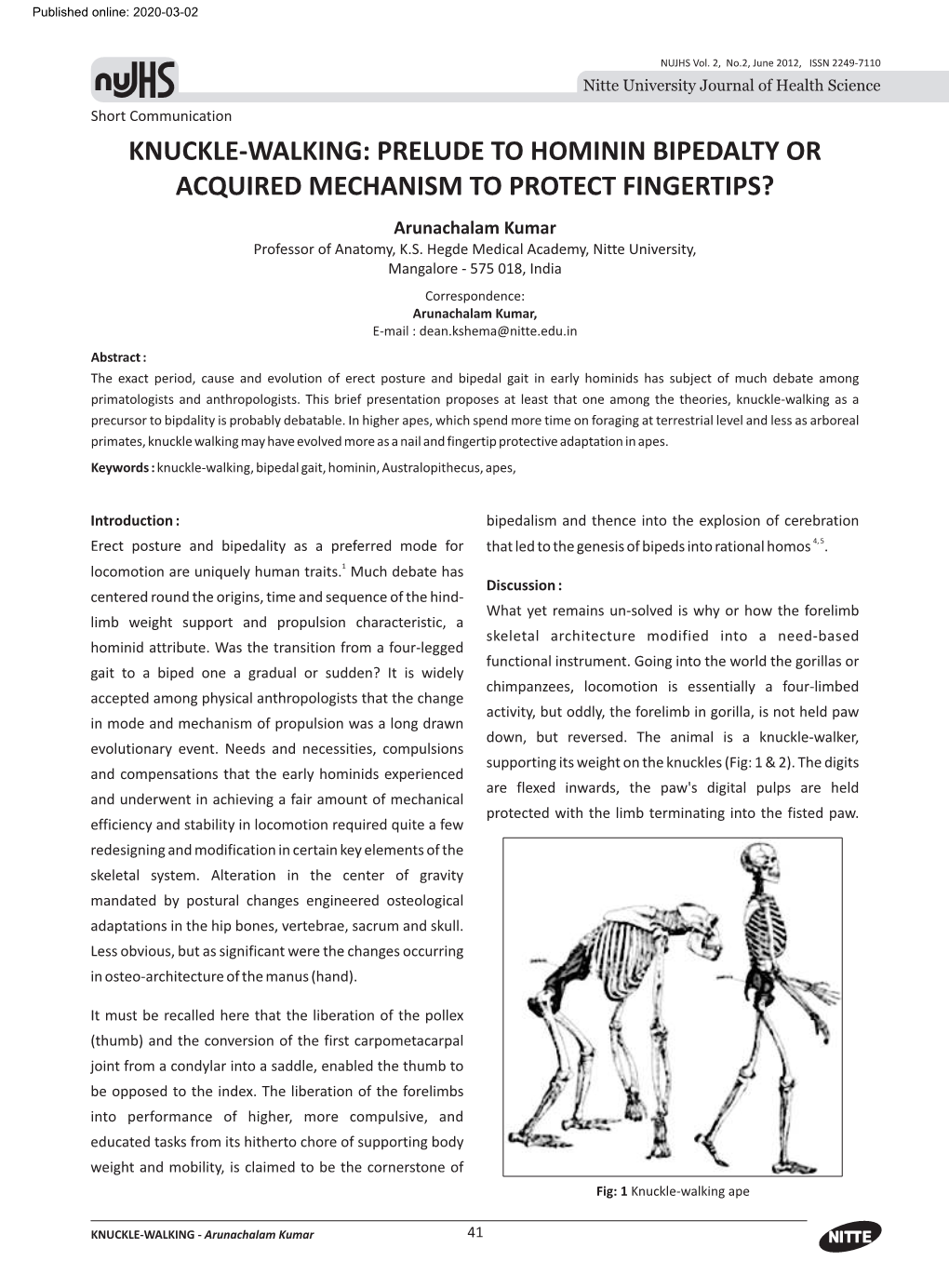 KNUCKLE-WALKING: PRELUDE to HOMININ BIPEDALTY OR ACQUIRED MECHANISM to PROTECT FINGERTIPS? Arunachalam Kumar Professor of Anatomy, K.S