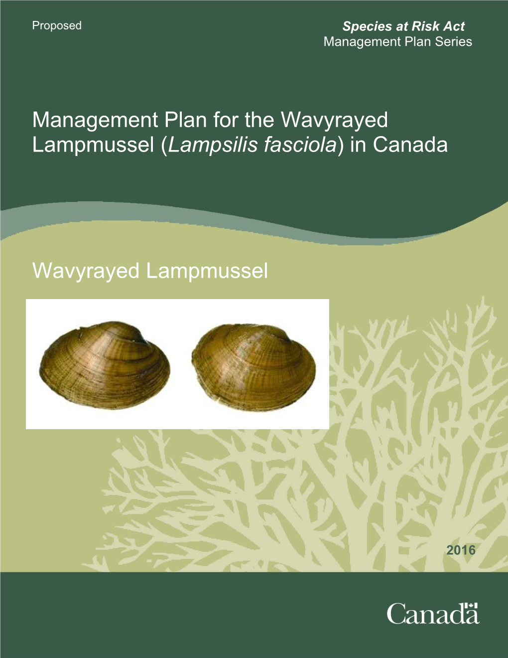 Management Plan for the Wavyrayed Lampmussel (Lampsilis Fasciola) in Canada