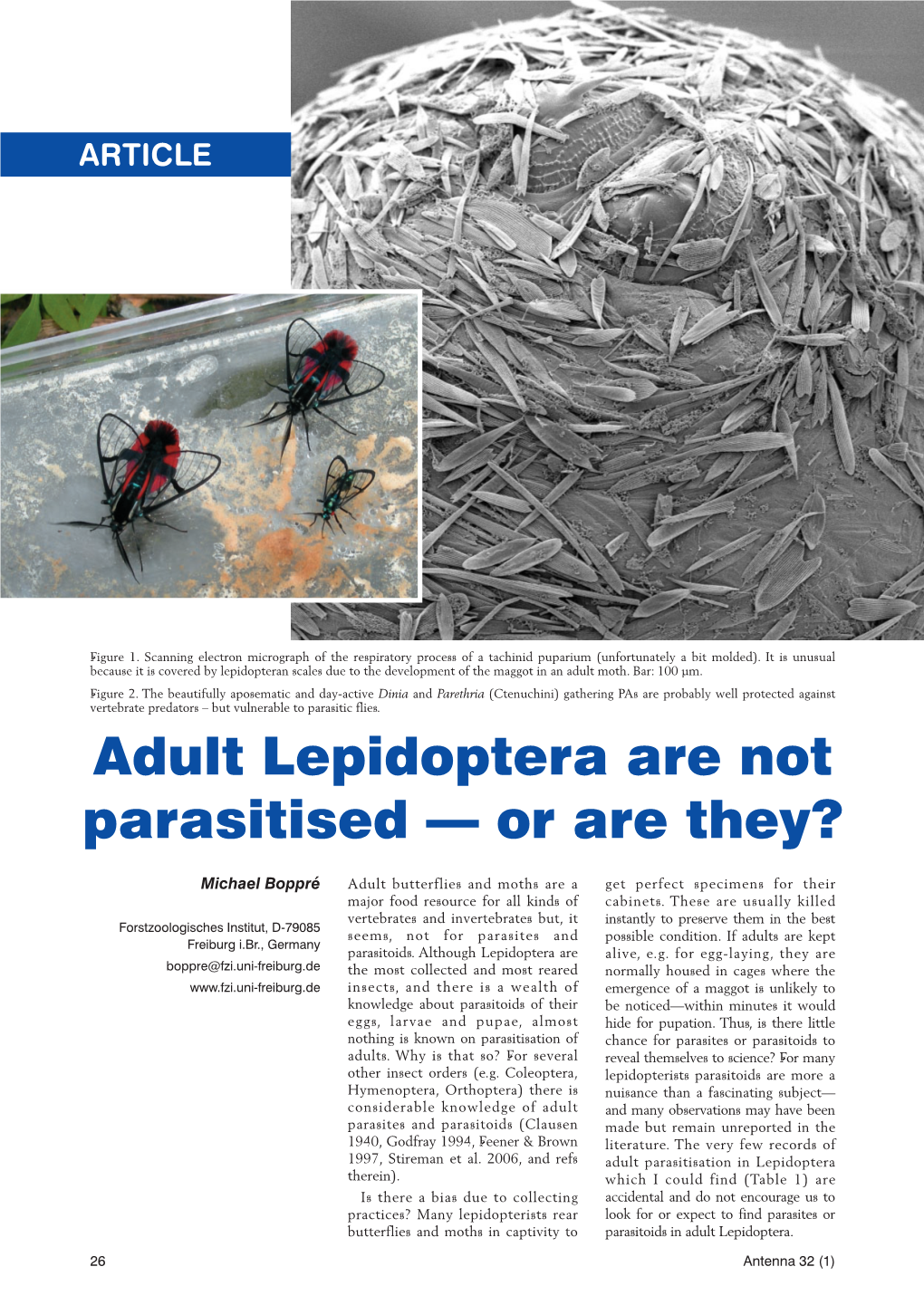 Adult Lepidoptera Are Not Parasitised — Or Are They?