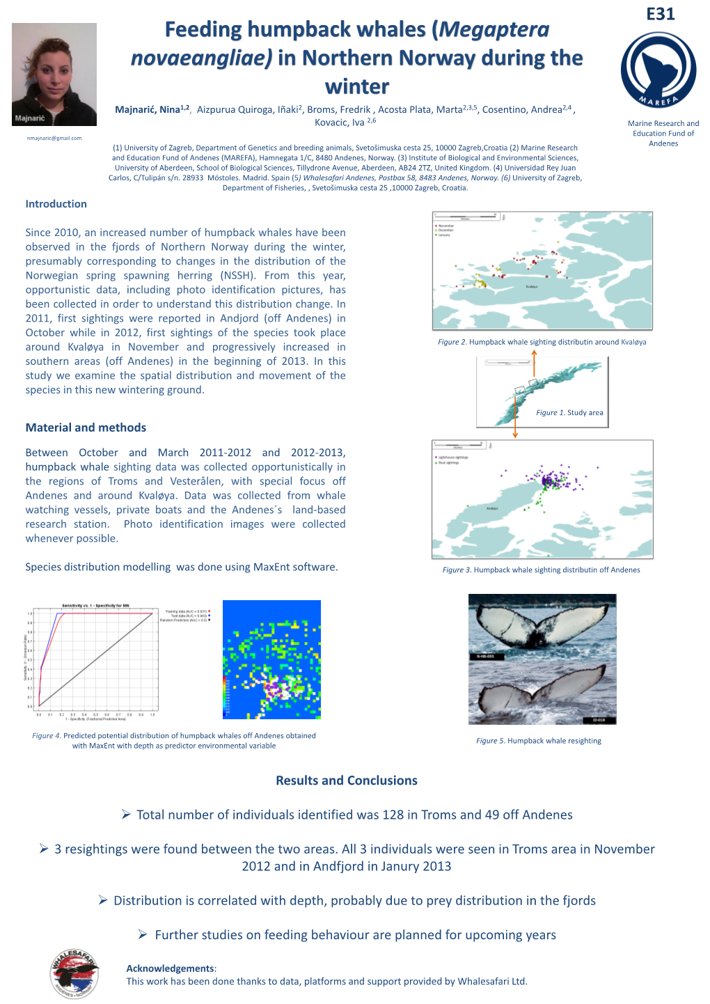 Promising Results of the First Land-Based Cetacean Surveys From