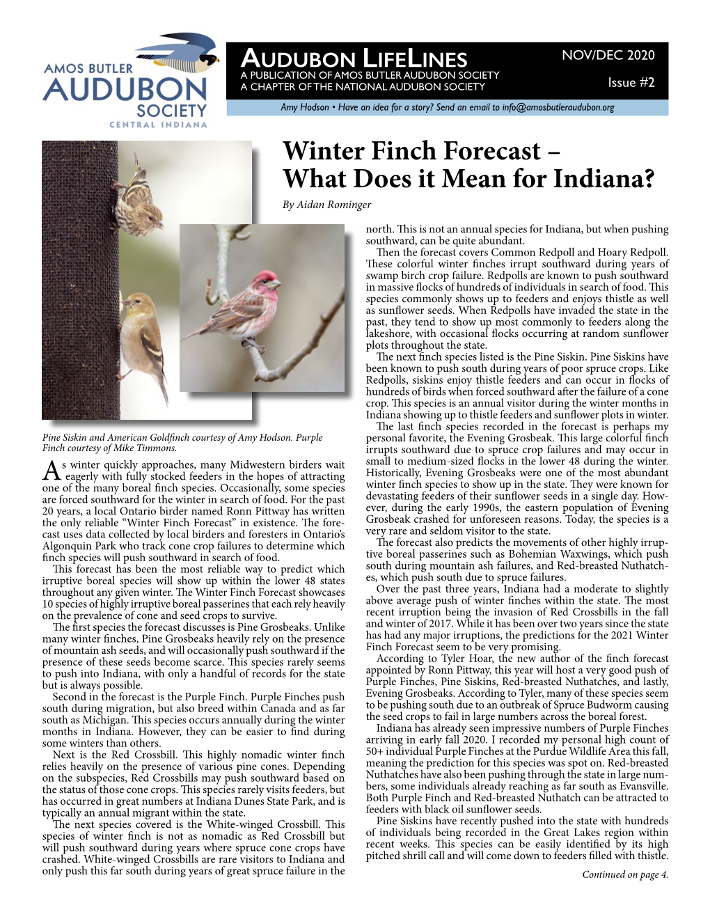 Winter Finch Forecast – What Does It Mean for Indiana? by Aidan Rominger