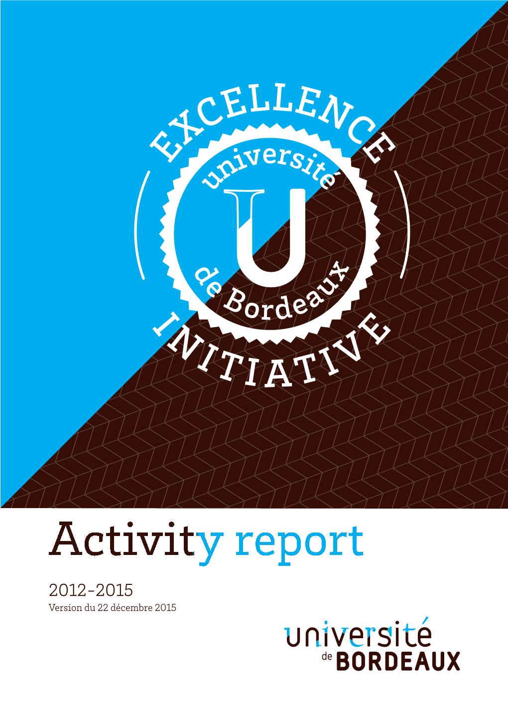 Activity Report