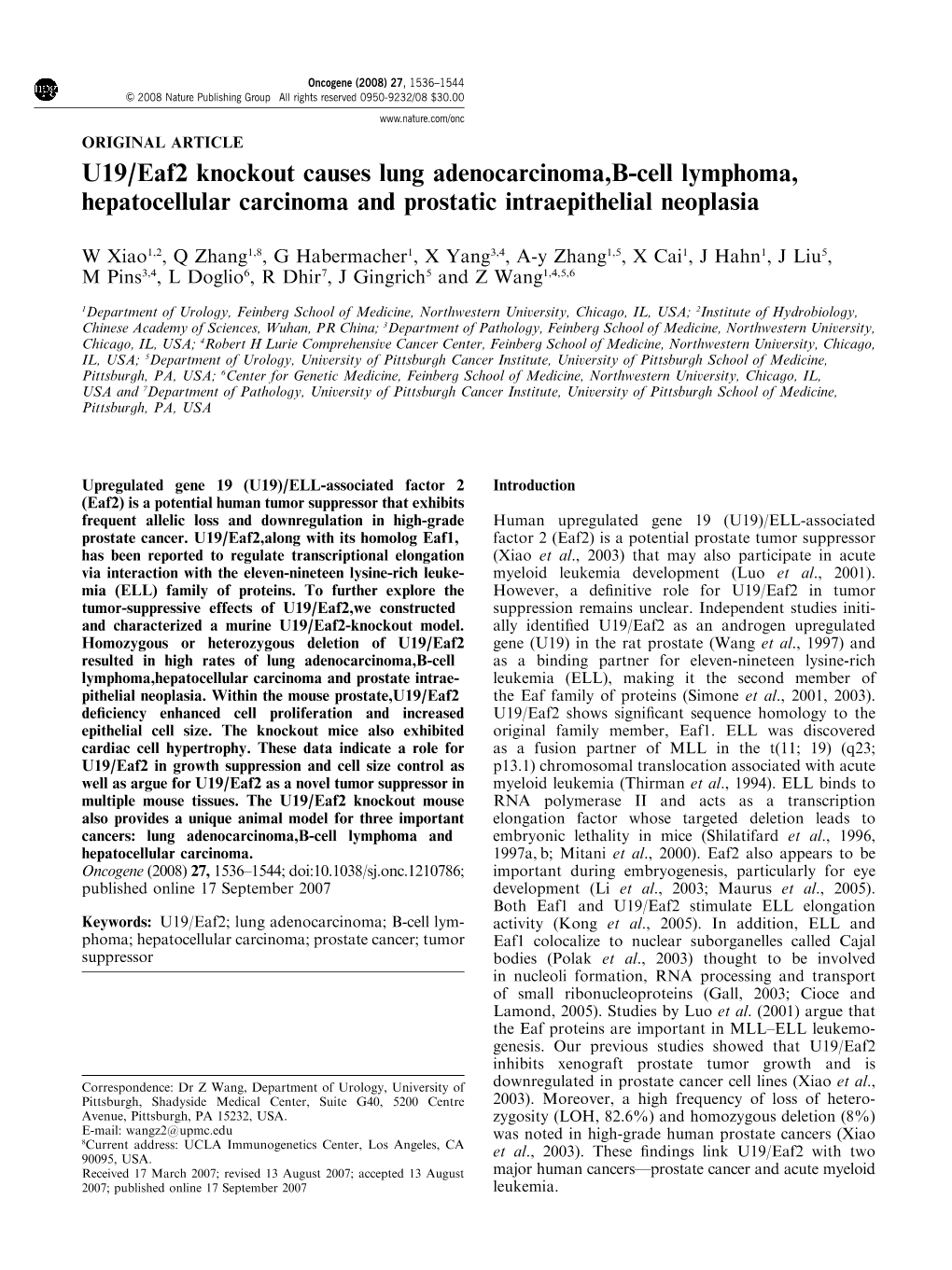 U19/Eaf2 Knockout Causes Lung Adenocarcinoma, B-Cell Lymphoma