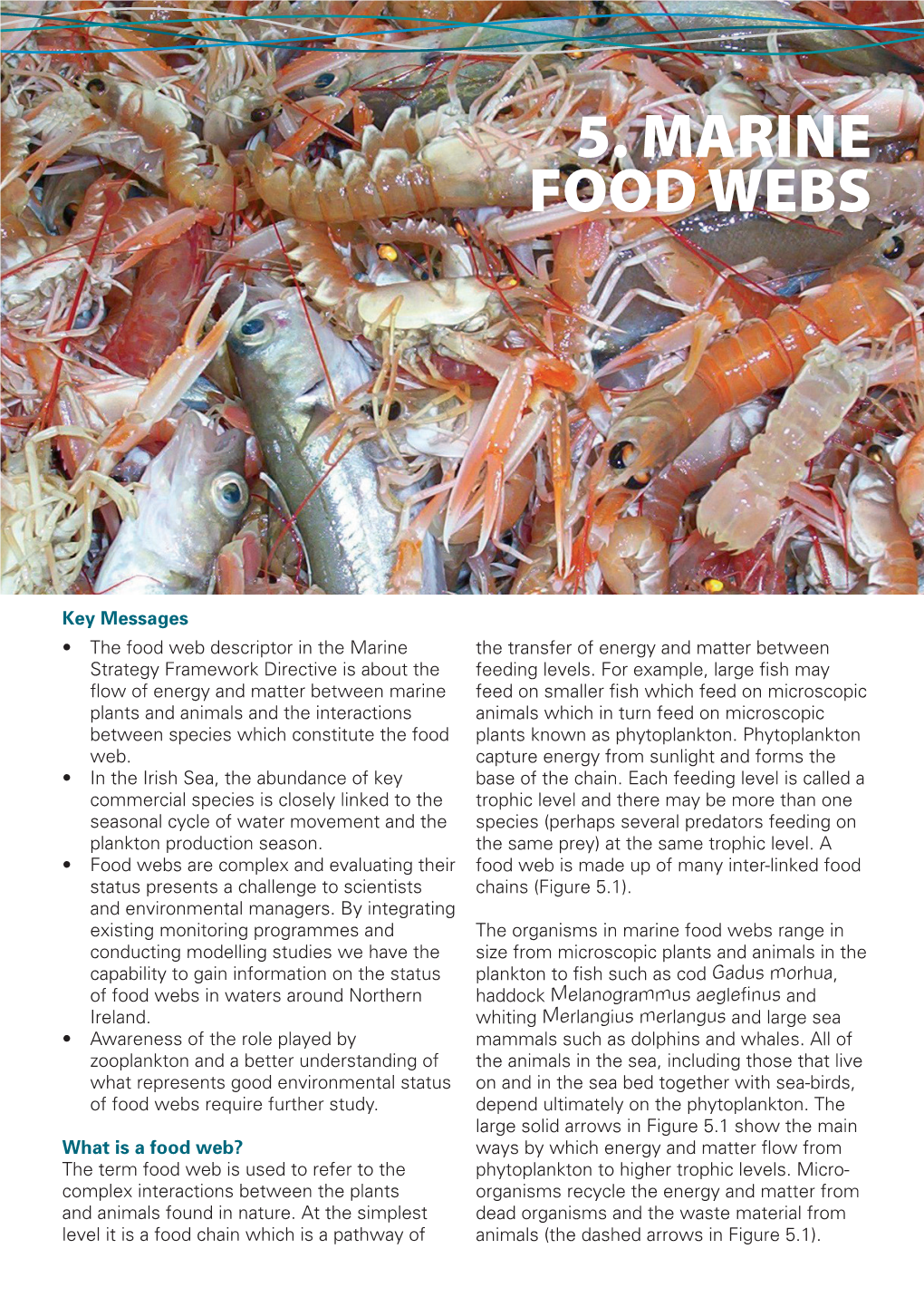 5. Marine Food Webs