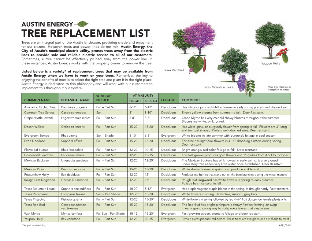 AUSTIN ENERGY TREE REPLACEMENT LIST Trees Are an Integral Part of the Austin Landscape, Providing Shade and Enjoyment for Our Citizens