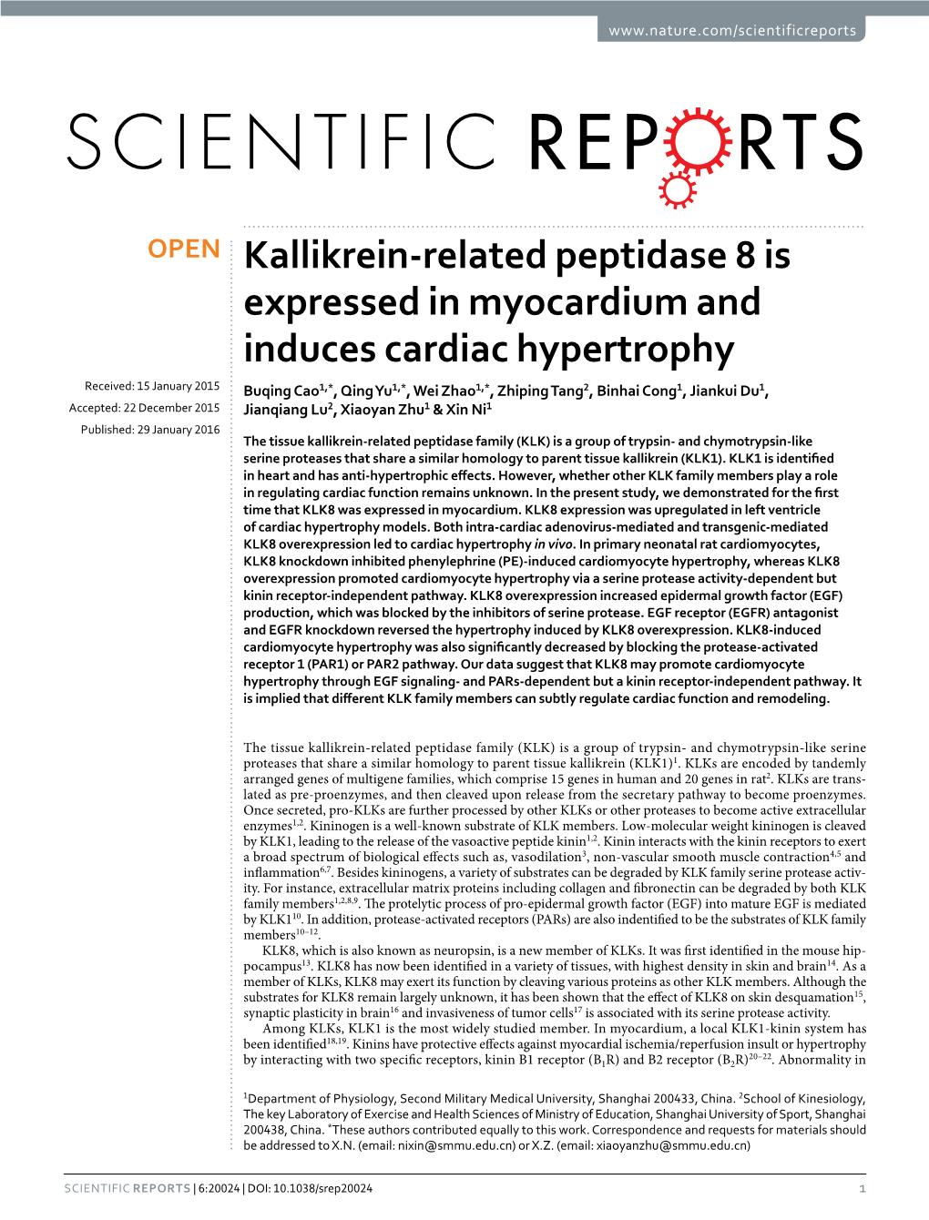 Kallikrein-Related Peptidase 8 Is Expressed in Myocardium