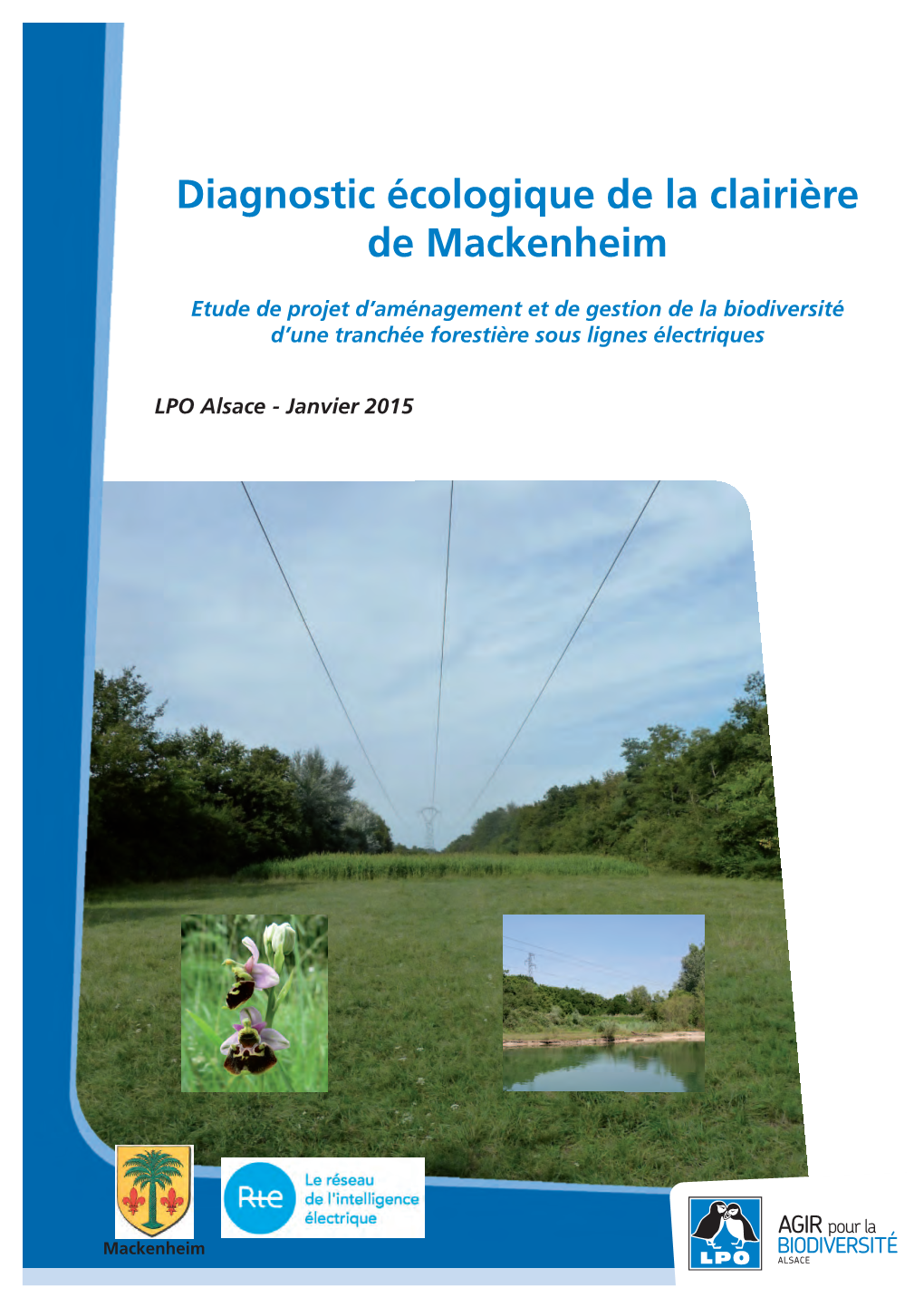 Diagnostic Écologique De La Clairière De Mackenheim
