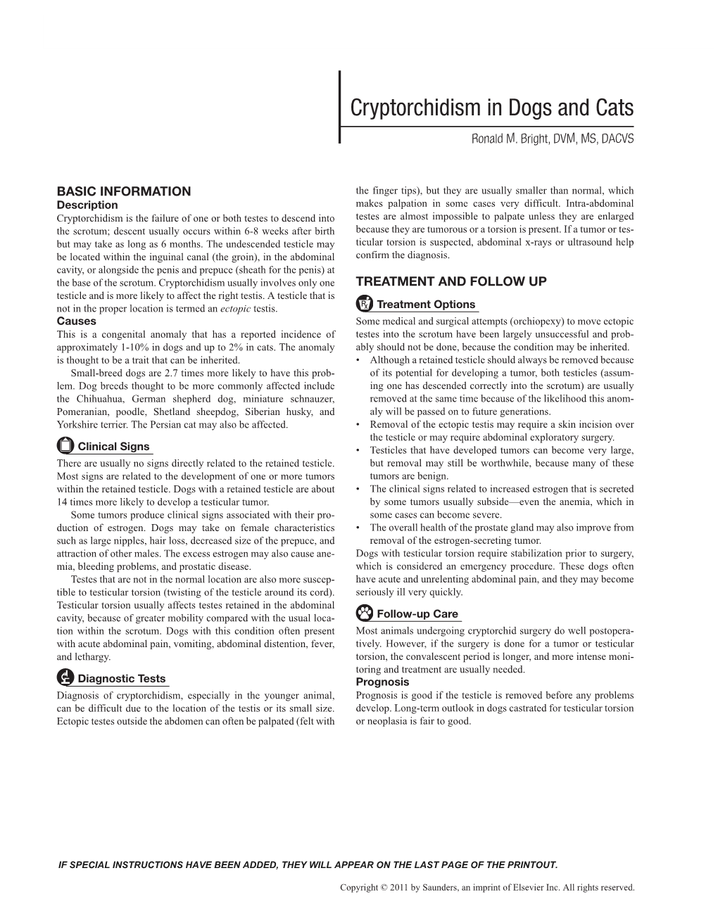 Cryptorchidism in Dogs and Cats