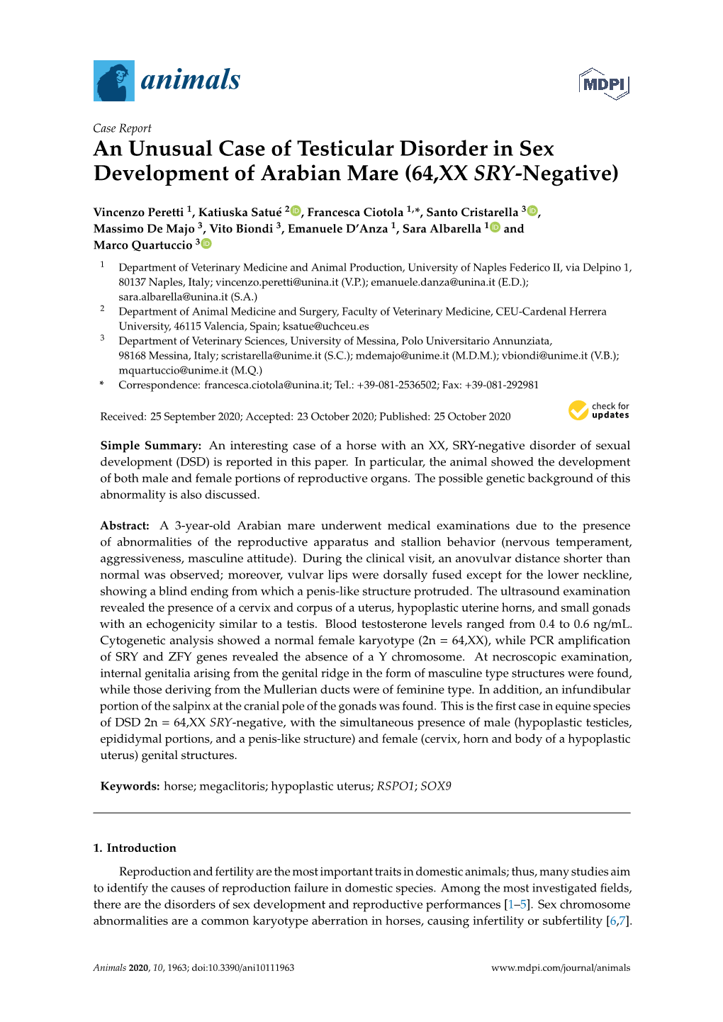 An Unusual Case of Testicular Disorder in Sex Development of Arabian Mare (64,XX SRY-Negative)