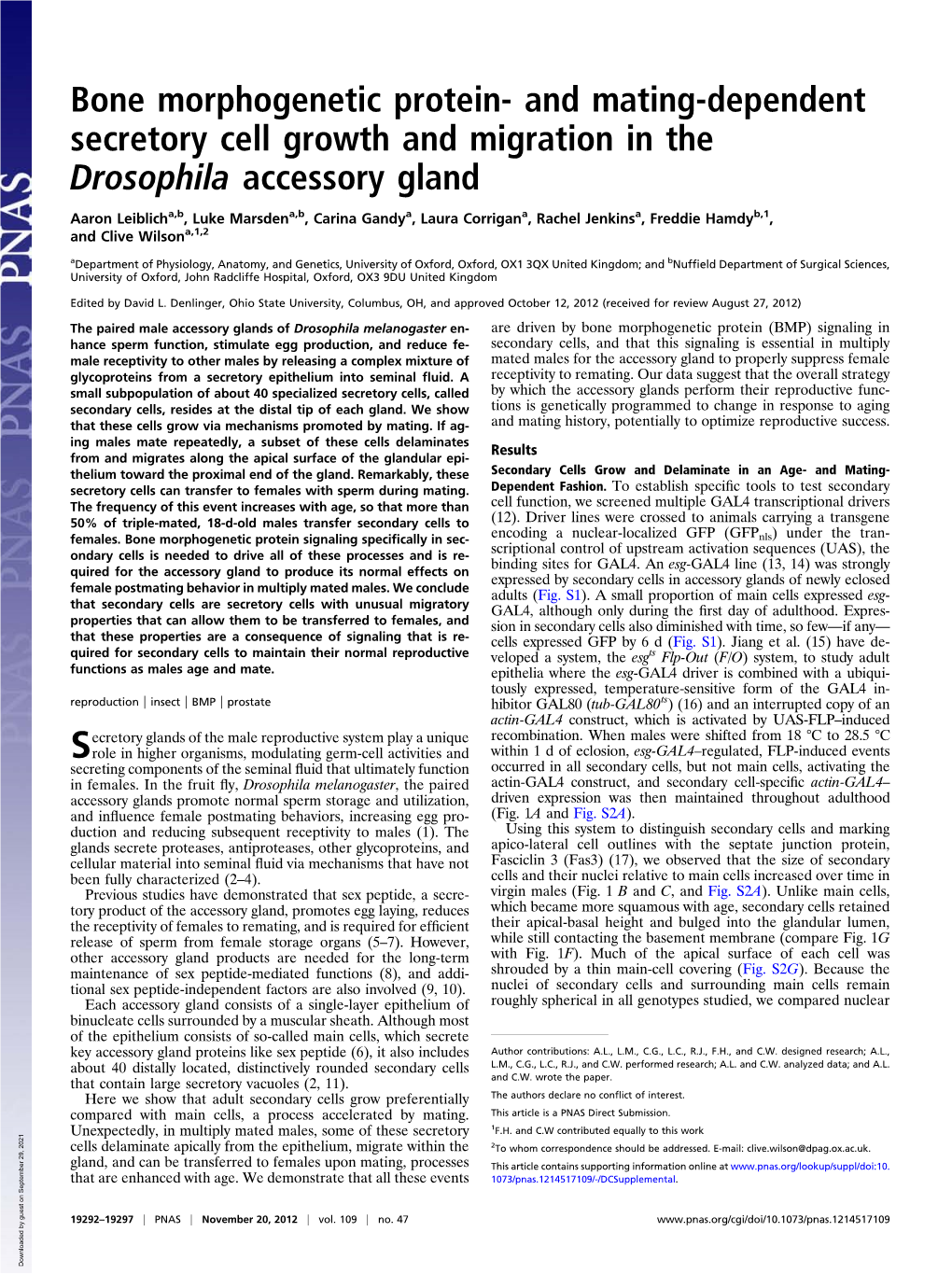 And Mating-Dependent Secretory Cell Growth and Migration in the Drosophila Accessory Gland