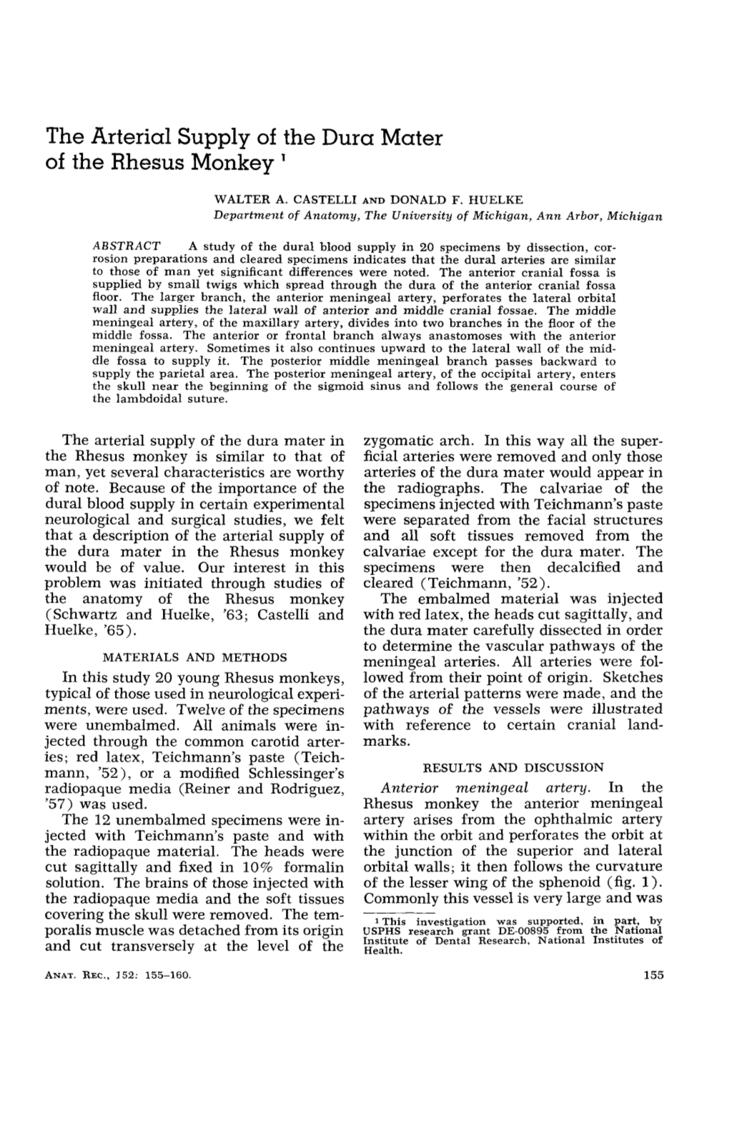 The Arterial Supply of the Dura Mater of the Rhesus Monkey '