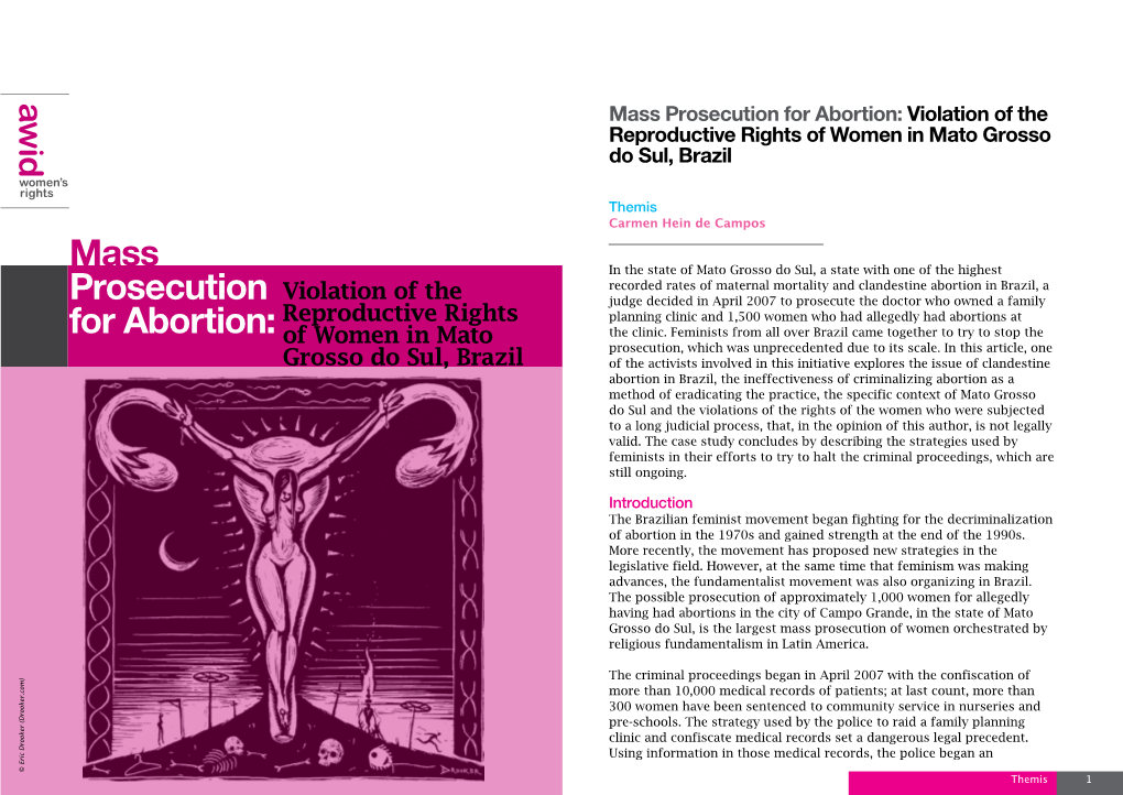 Mass Prosecution for Abortion: Violation of the Reproductive Rights of Women in Mato Grosso Do Sul, Brazil