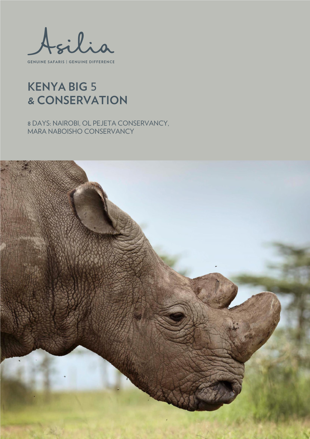 Kenya Big & Conservation