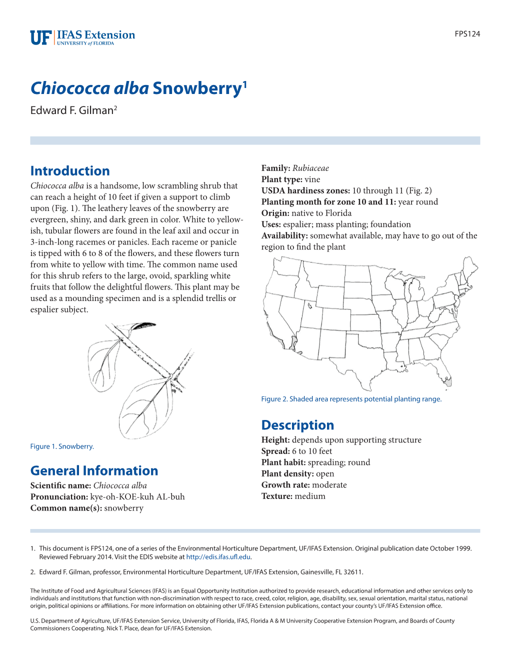 Chiococca Alba Snowberry1 Edward F