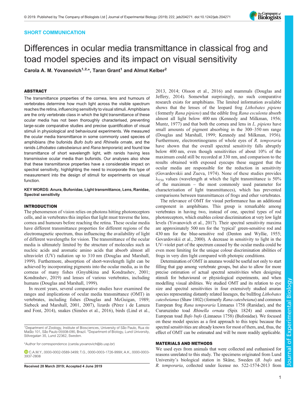 Differences in Ocular Media Transmittance in Classical Frog and Toad Model Species and Its Impact on Visual Sensitivity Carola A