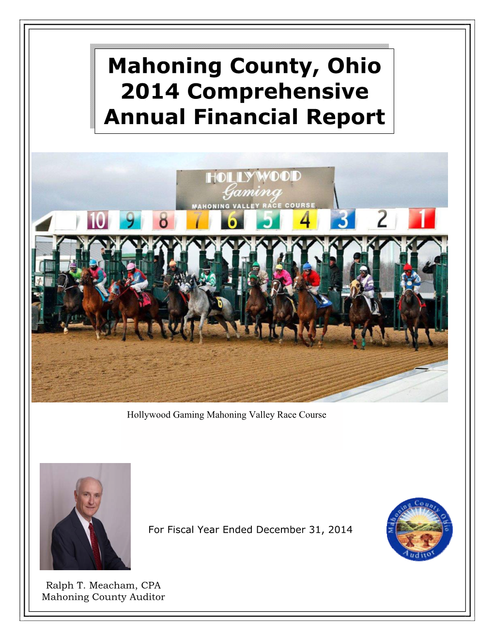 Mahoning County, Ohio 2014 Comprehensive Annual Financial