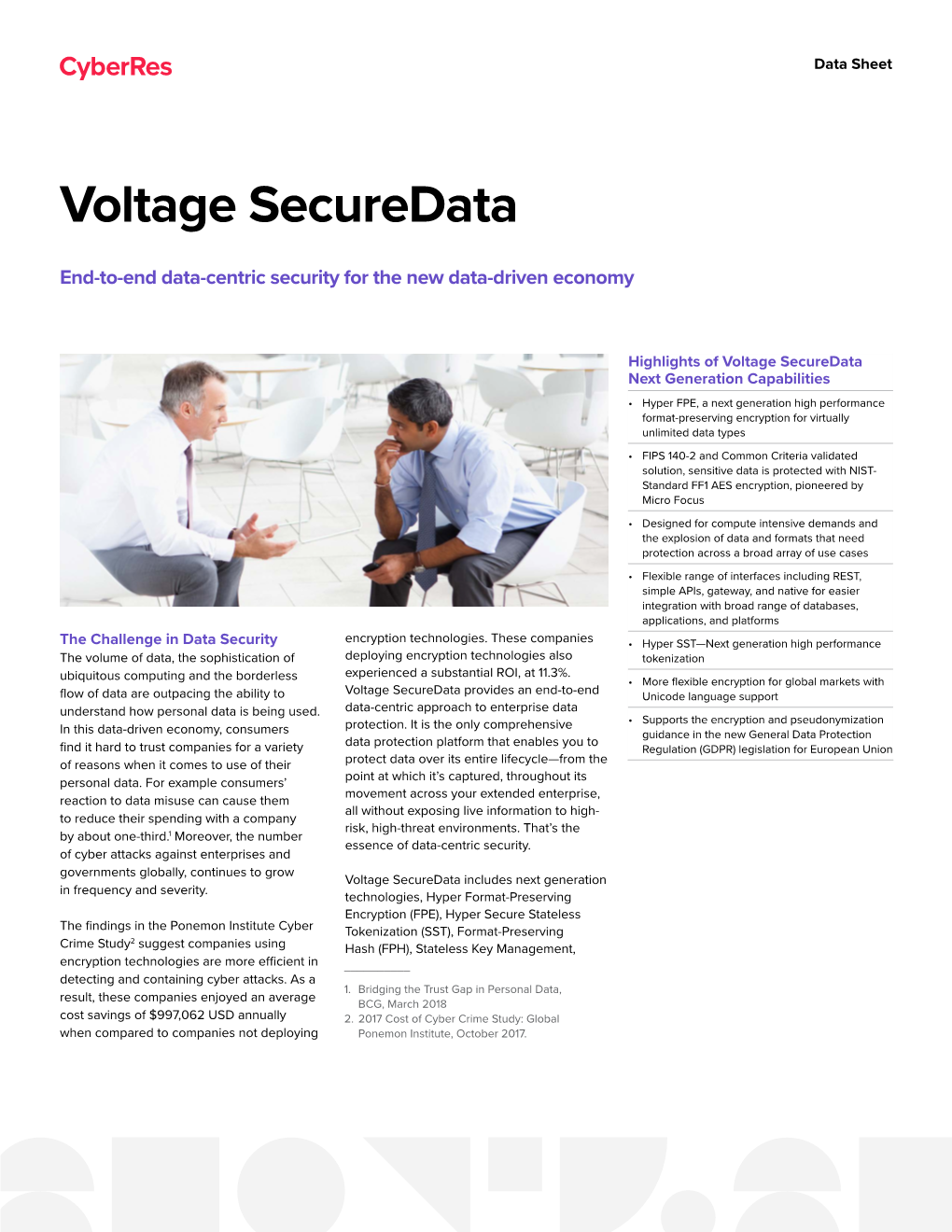 Voltage Securedata Data Sheet