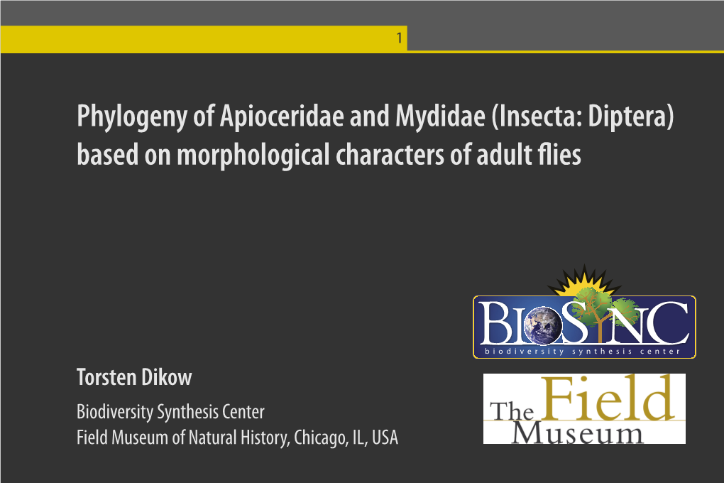 Phylogeny of Apioceridae and Mydidae (Insecta: Diptera) Based on Morphological Characters of Adult Flies