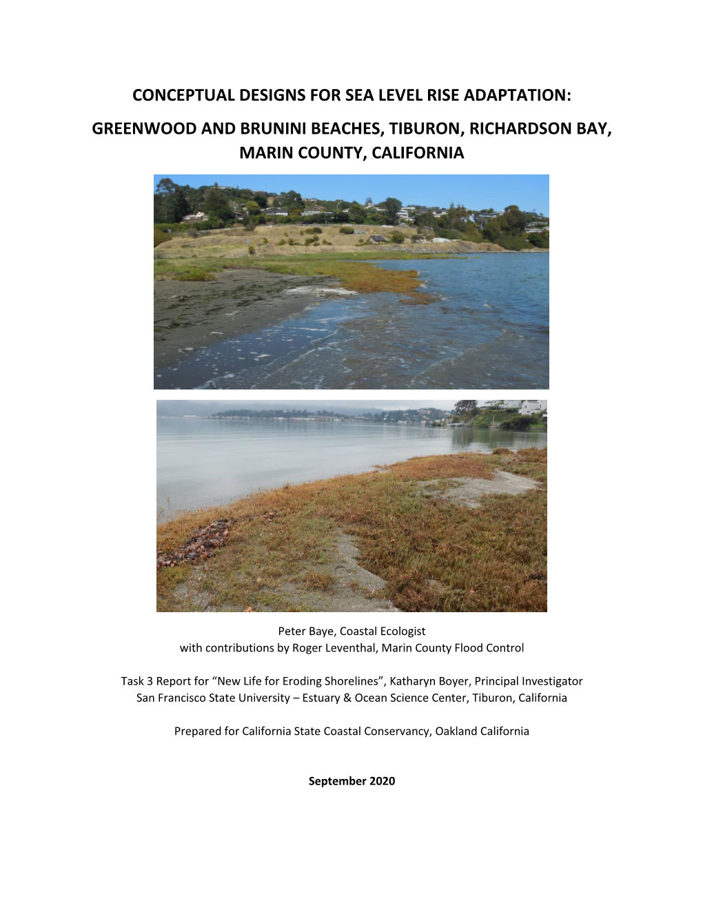 Greenwood and Brunini Beaches, Tiburon, Richardson Bay, Marin County, California