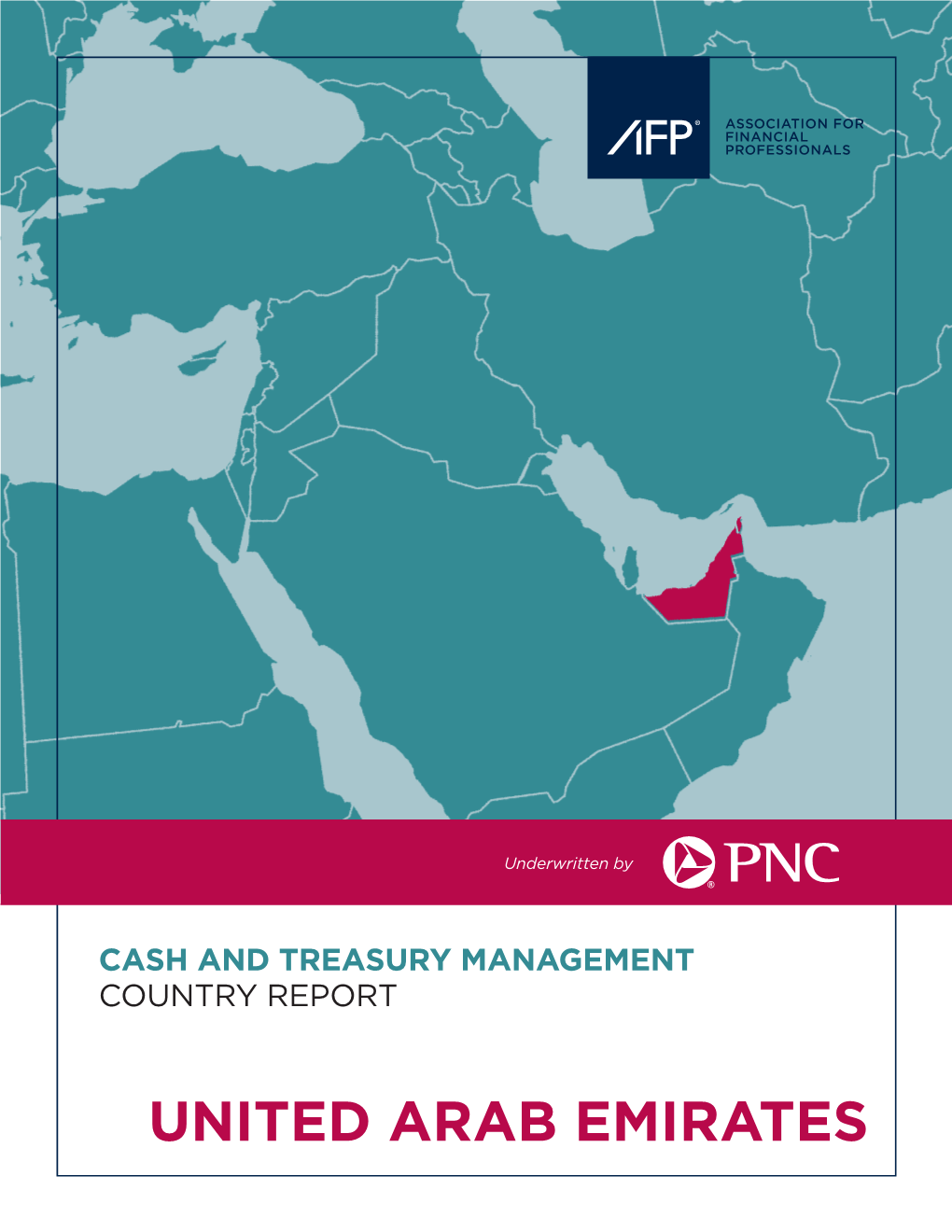 UNITED ARAB EMIRATES Executive Summary