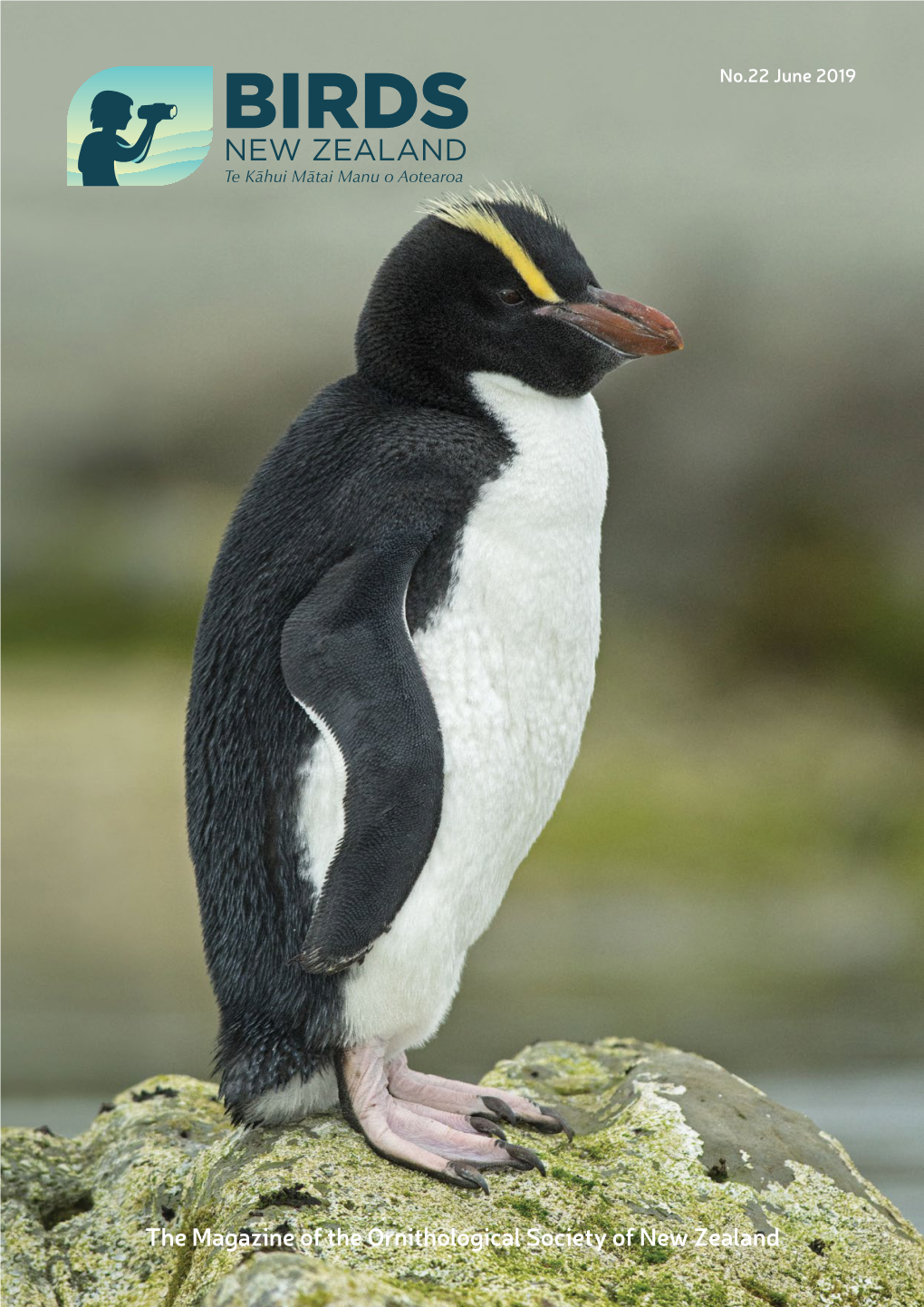 The Magazine of the Ornithological Society of New Zealand