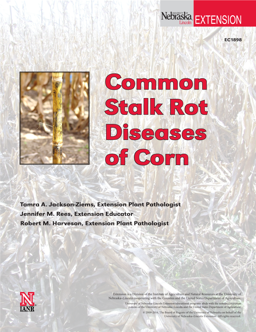 Common Stalk Rot Diseases of Corn
