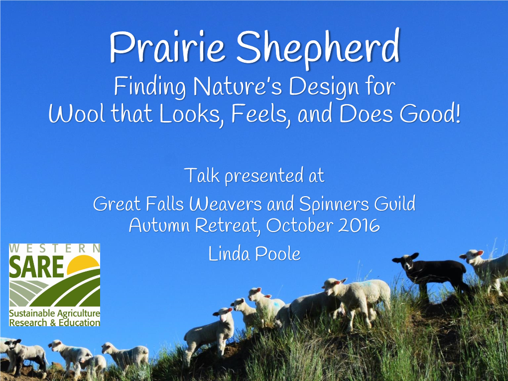 Prairie Shepherd Finding Nature’S Design for Wool That Looks, Feels, and Does Good!