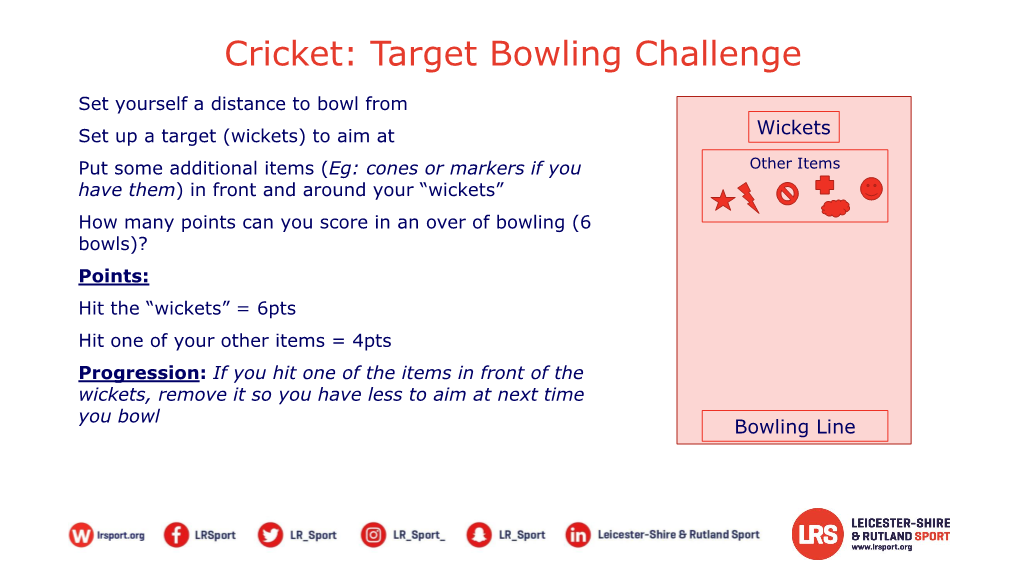 Cricket: Target Bowling Challenge