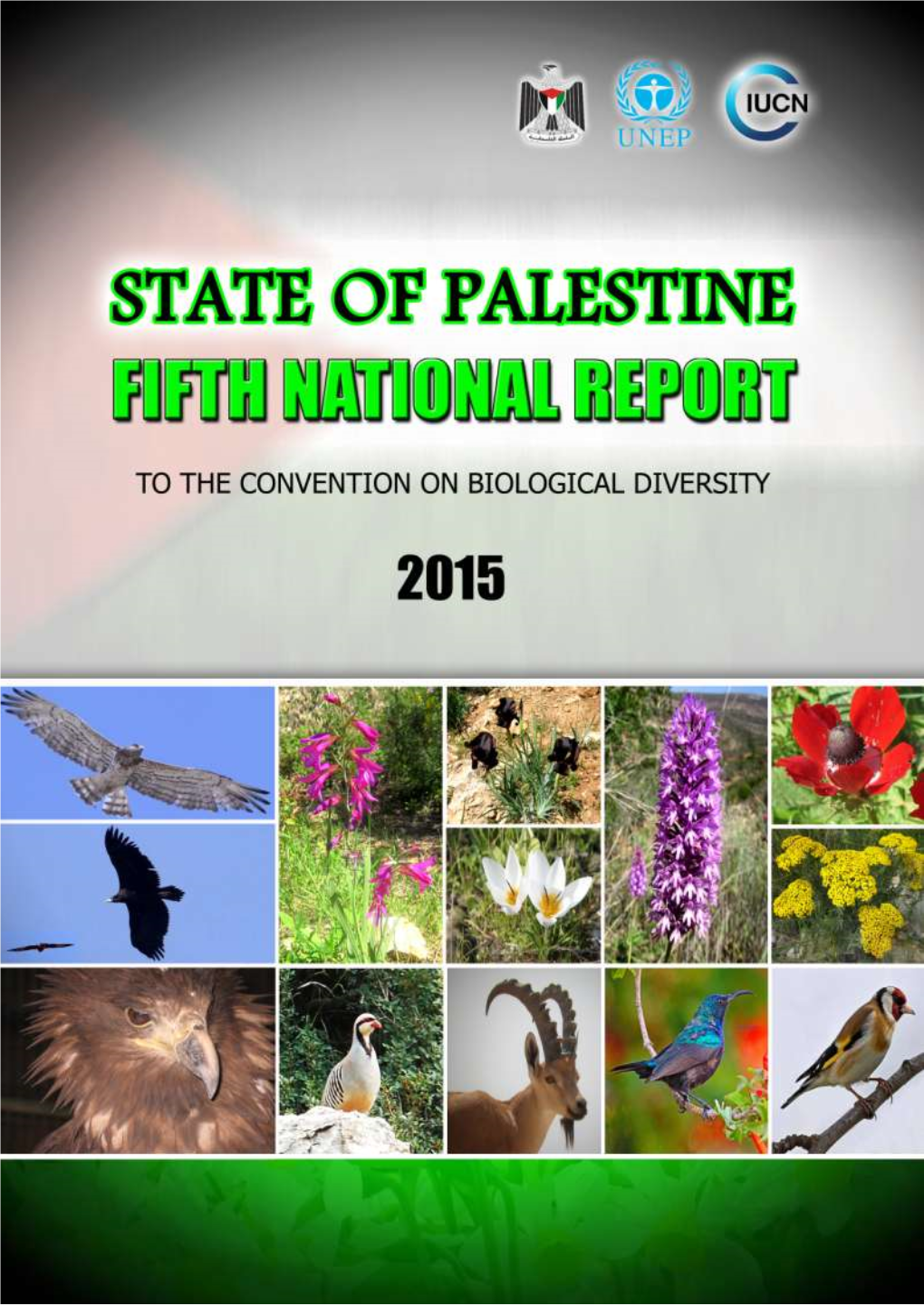 State of Palestine Fifth National Report (Cbd) 2015 (Cbd) Report National Fifth Palestine of State 4.2