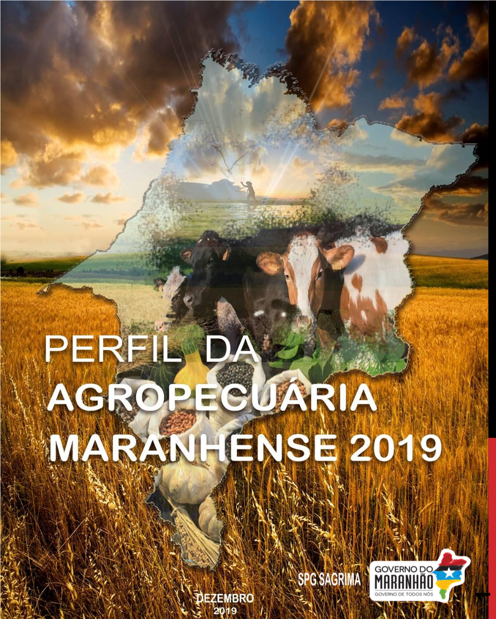 Perfil Da Agropecuária Maranhense 2019 –