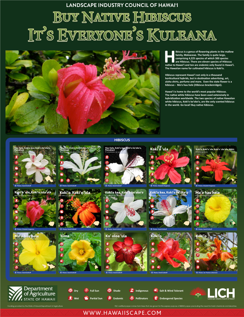 Buy Native Hibiscus It’S Everyone’S Kuleana Ibiscus Is a Genus of Flowering Plants in the Mallow Family, Malvaceae