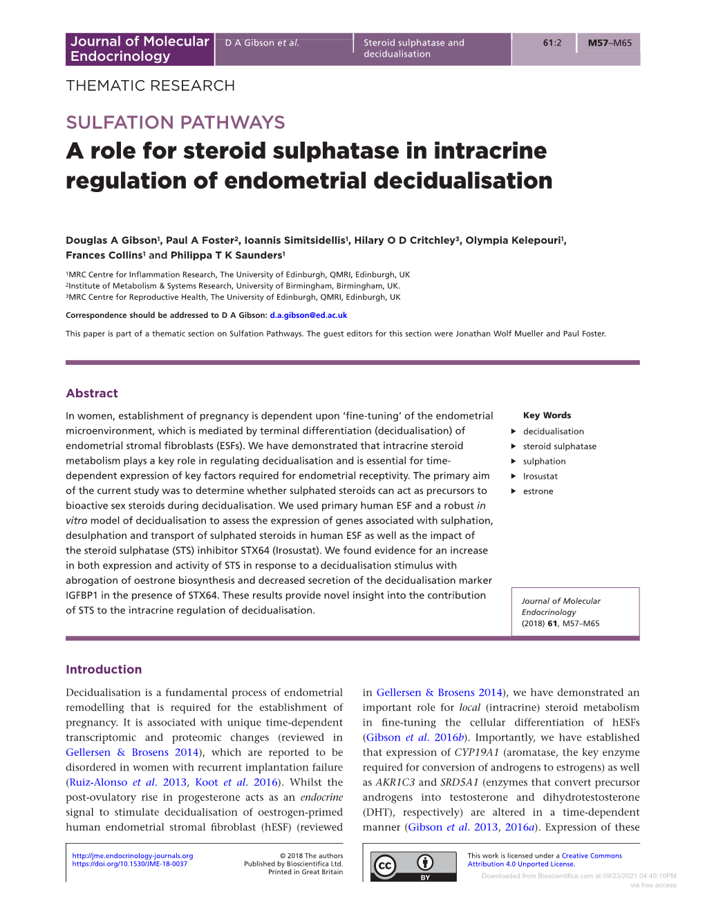 A Role for Steroid Sulphatase in Intracrine Regulation of Endometrial Decidualisation