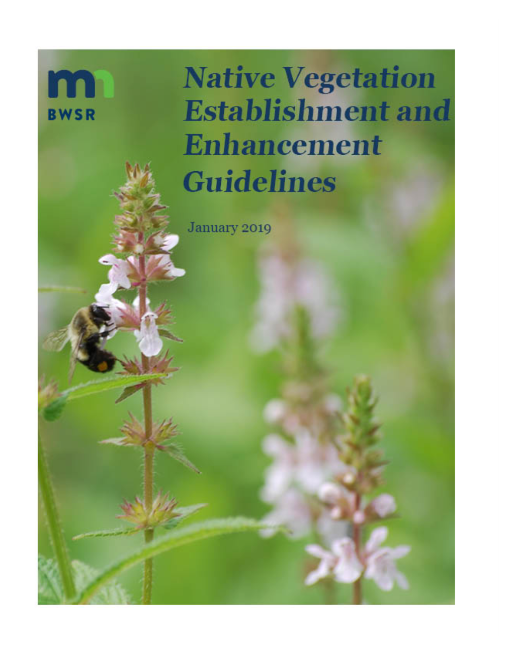 BWSR Native Vegetation Establishment and Enhancement Guidelines