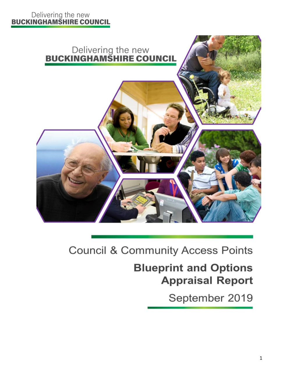 4. the Vision and Options for Council & Community Access Points