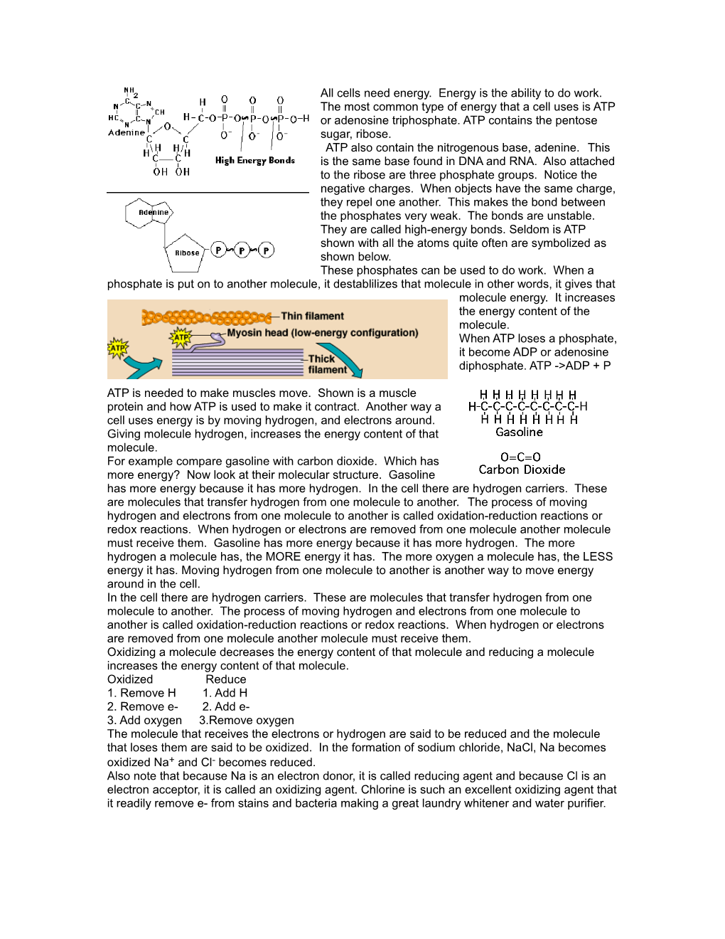 When ATP Loses a Phosphate, It Become ADP Or Adenosine Diphosphate. ATP ->ADP + P