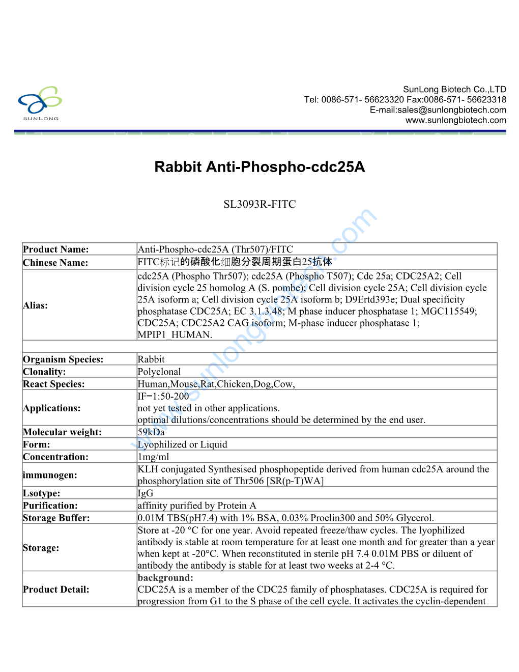 Rabbit Anti-Phospho-Cdc25a-SL3093R-FITC