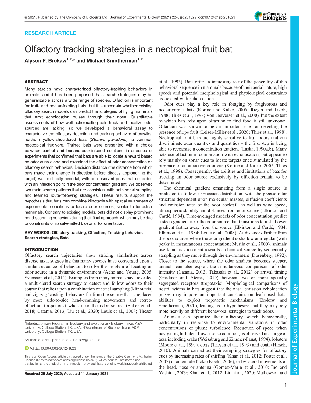 Olfactory Tracking Strategies in a Neotropical Fruit Bat Alyson F