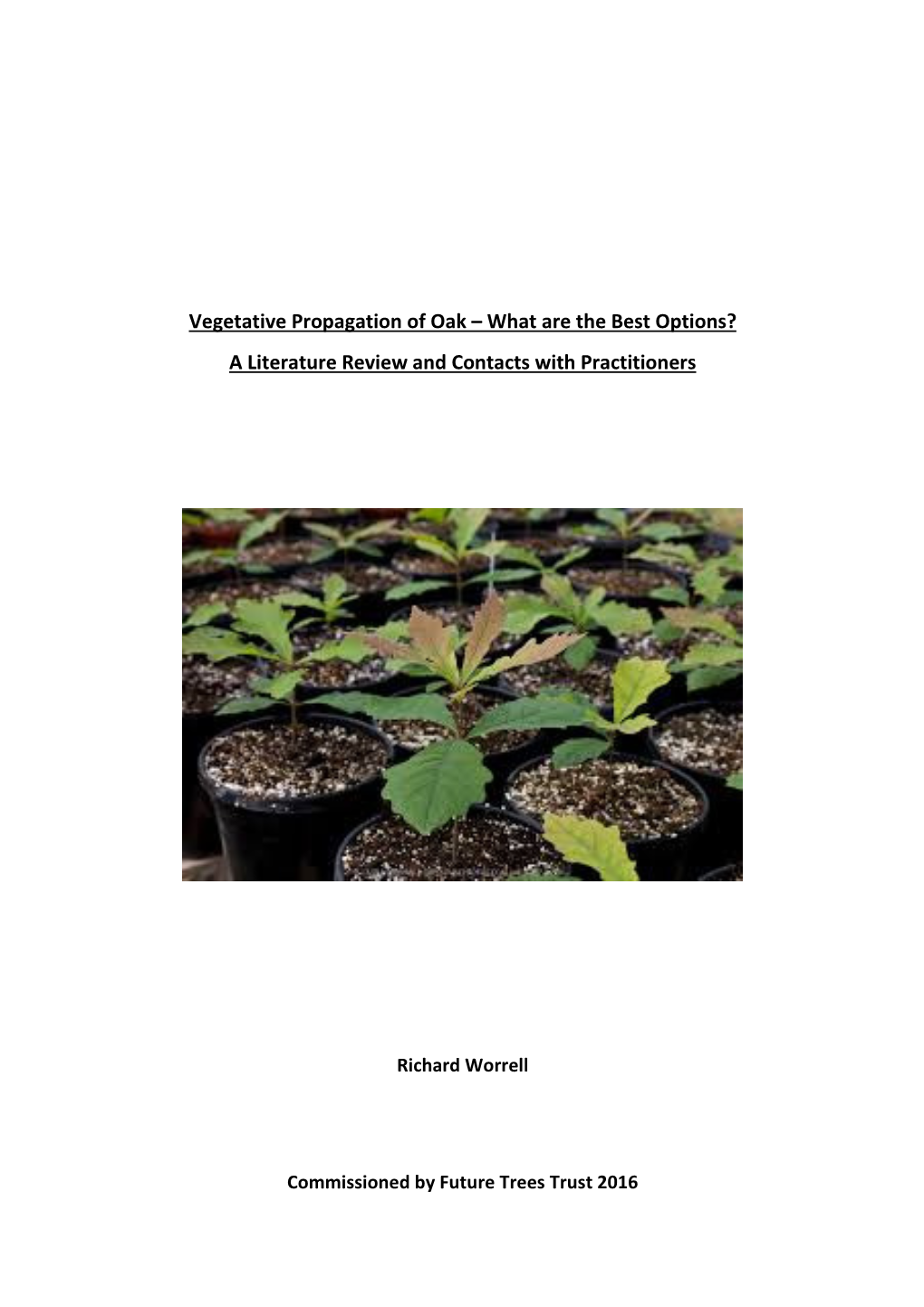 Vegetative Propagation of Oak What Are the Best Options? a Literature