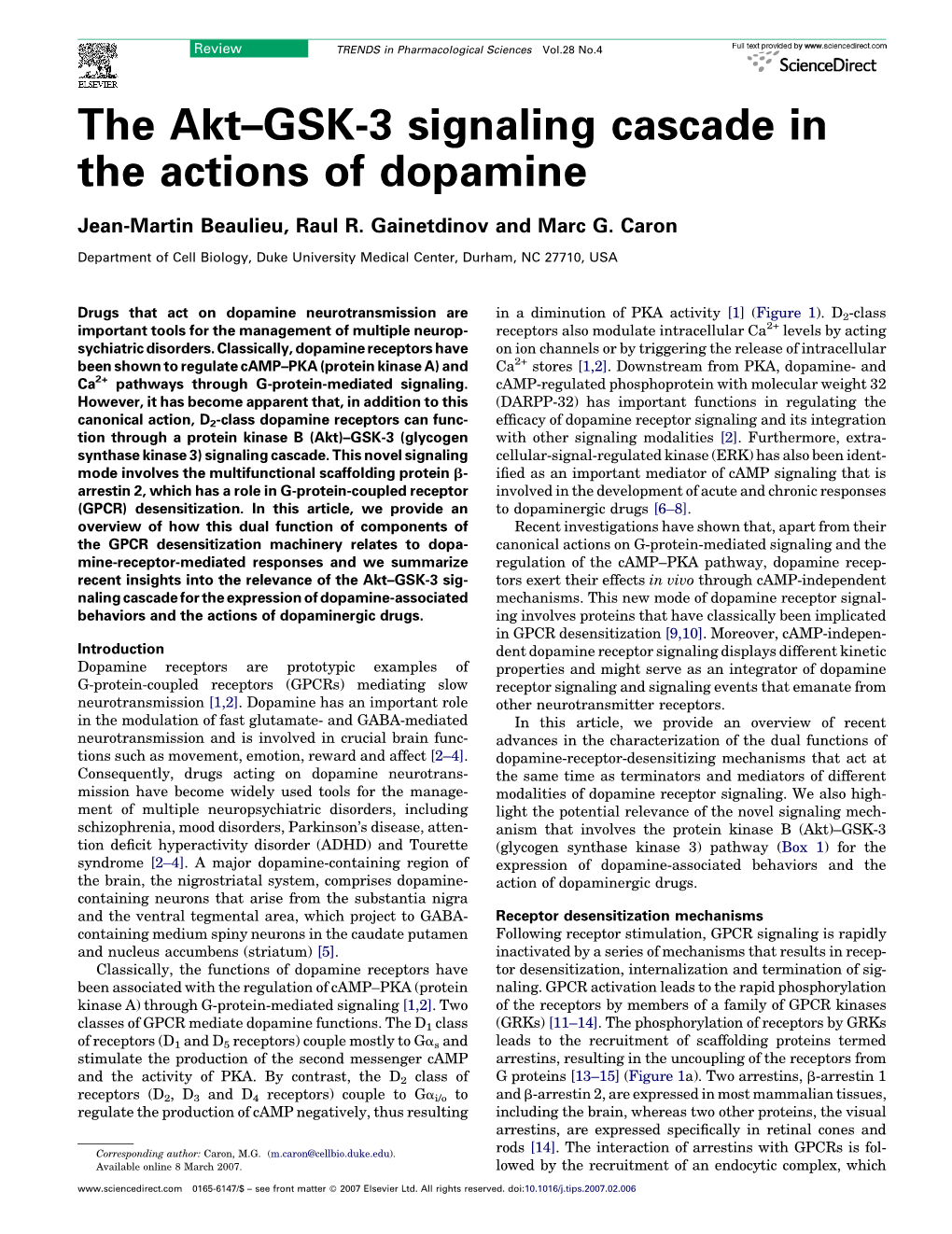 The Akt–GSK-3 Signaling Cascade in the Actions of Dopamine