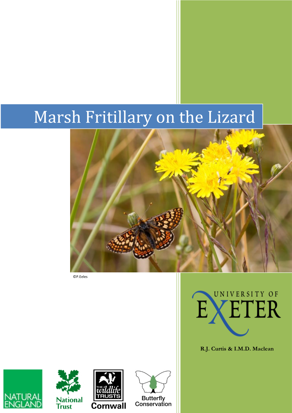 Marsh Fritillary on the Lizard Spring