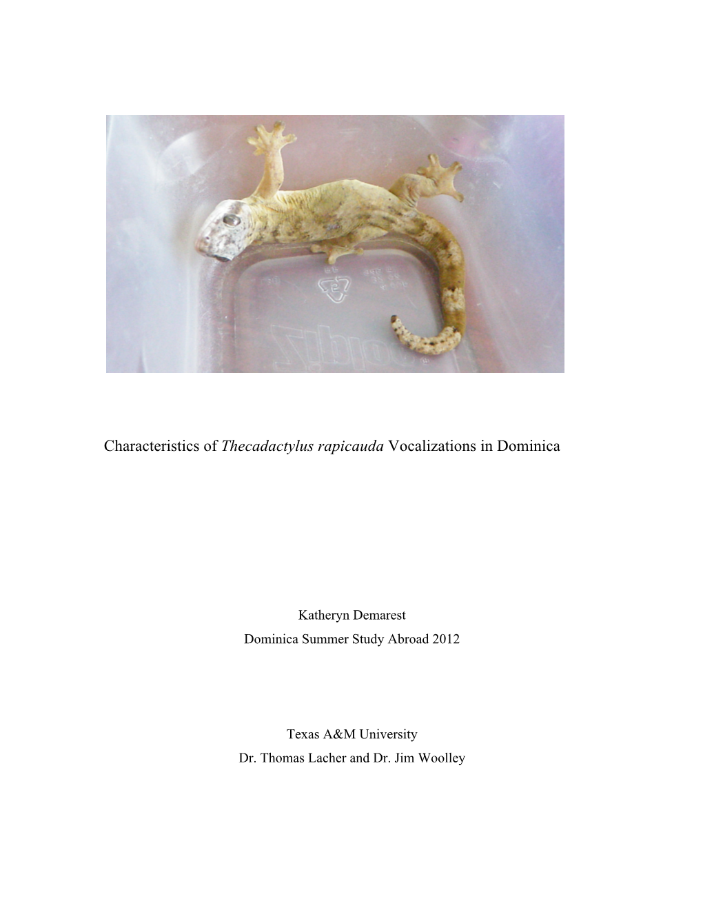 Characteristics of Thecadactylus Rapicauda Vocalizations in Dominica