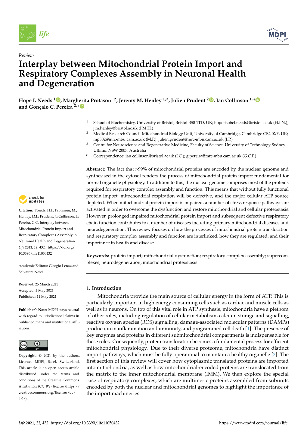 Interplay Between Mitochondrial Protein Import and Respiratory Complexes Assembly in Neuronal Health and Degeneration