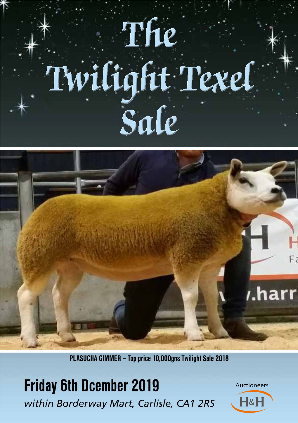 Twilight Texels Sale