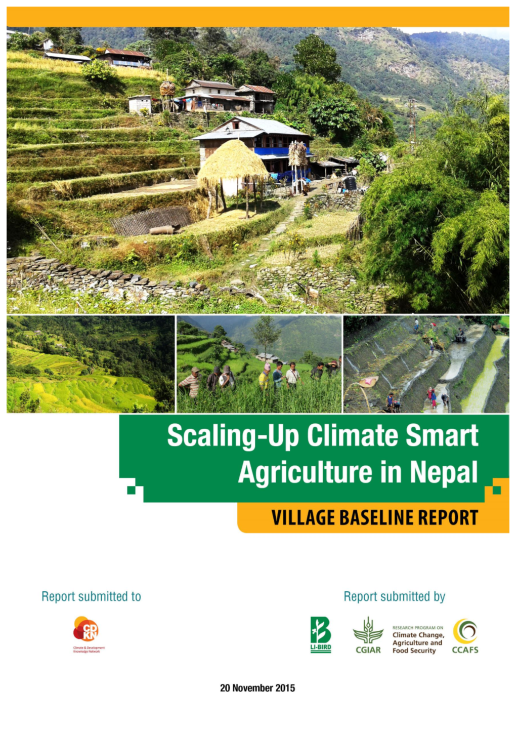 Community/VDC Level Baseline Study and Site Profile Report