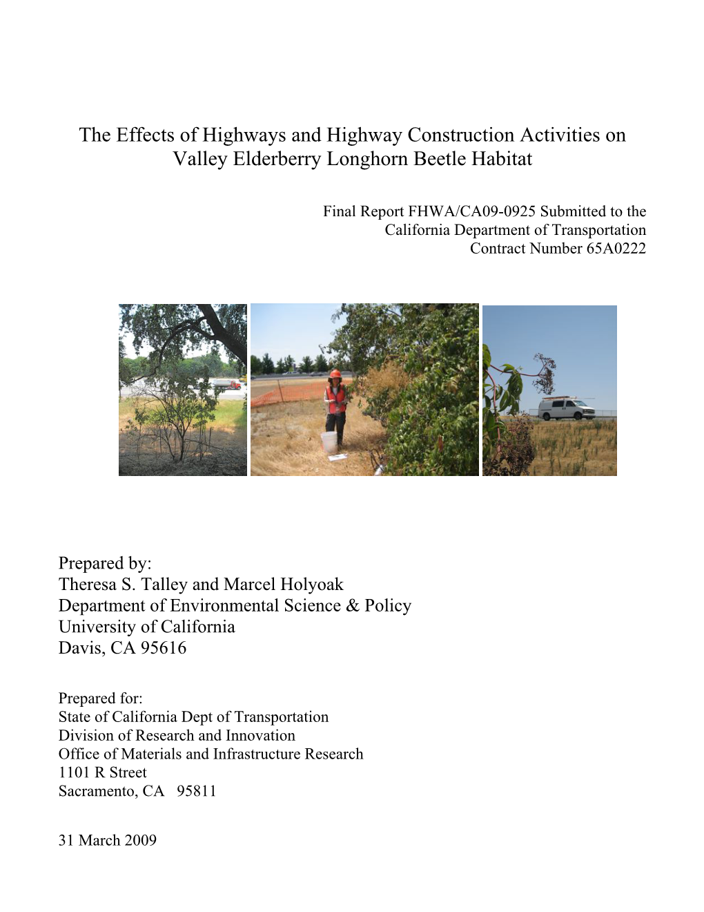 The Effects of Highways and Highway Construction Activities on Valley Elderberry Longhorn Beetle Habitat